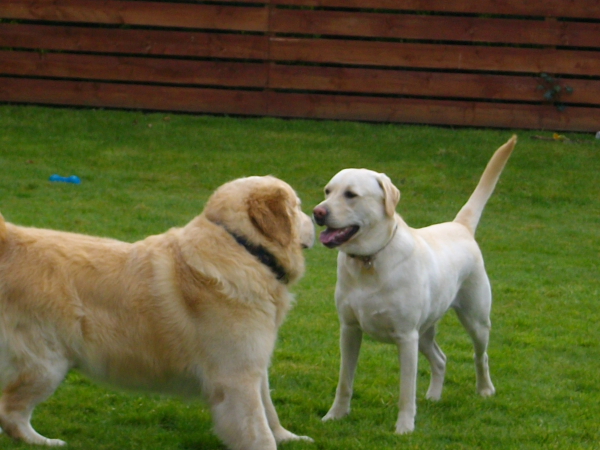 Gus About To Mees Up Mylos New Haircut