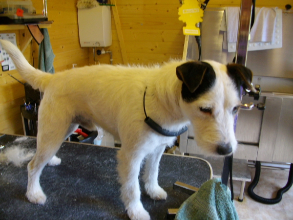 Dan Dont I Look Pretty After My Hand Strip 2