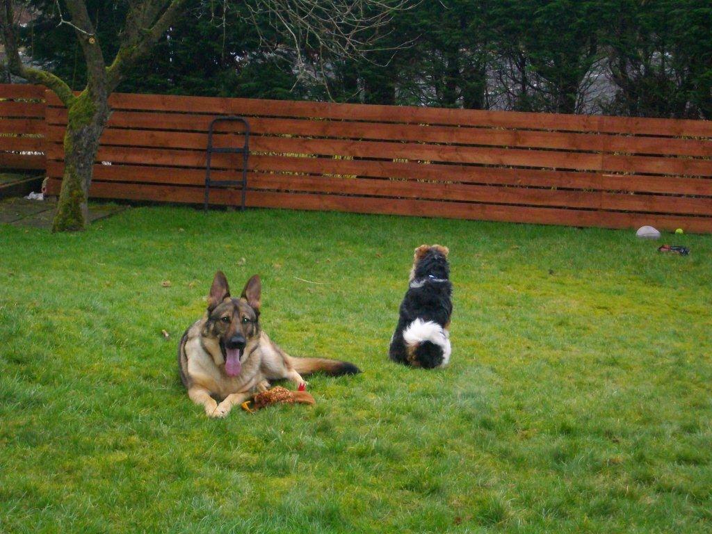 Relaxing In The Garden