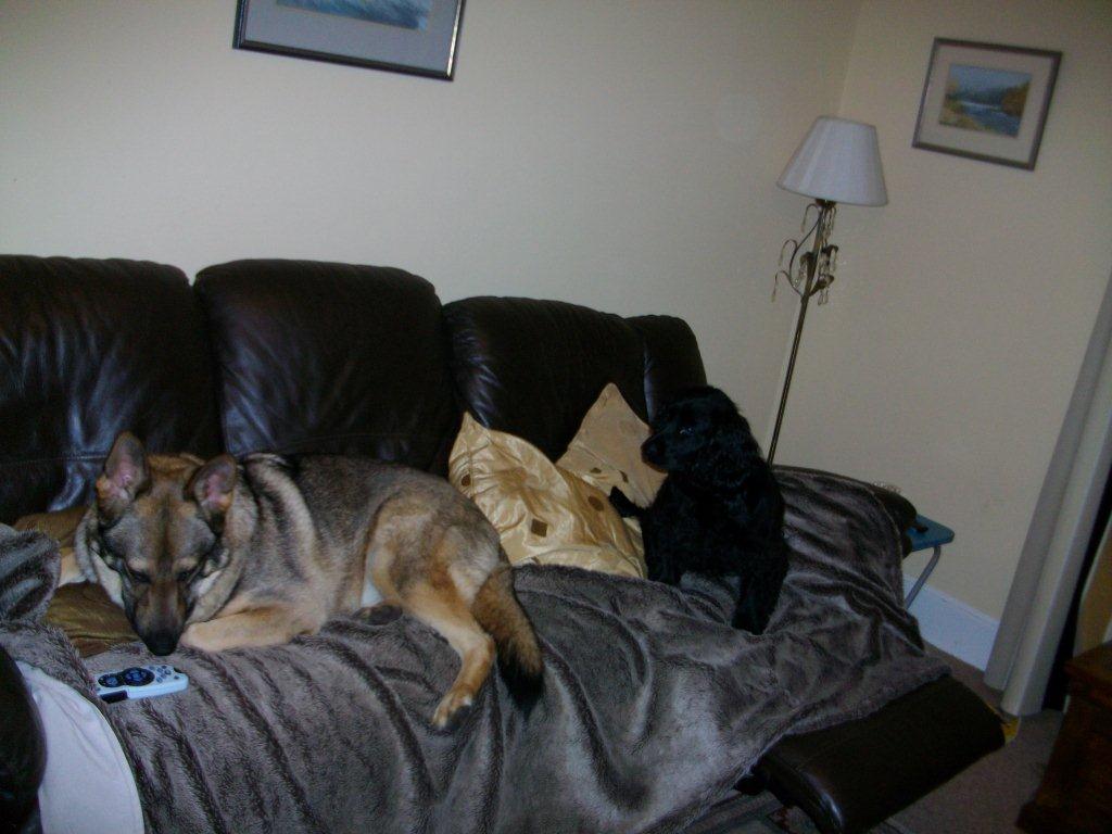 Anything Good On TV?