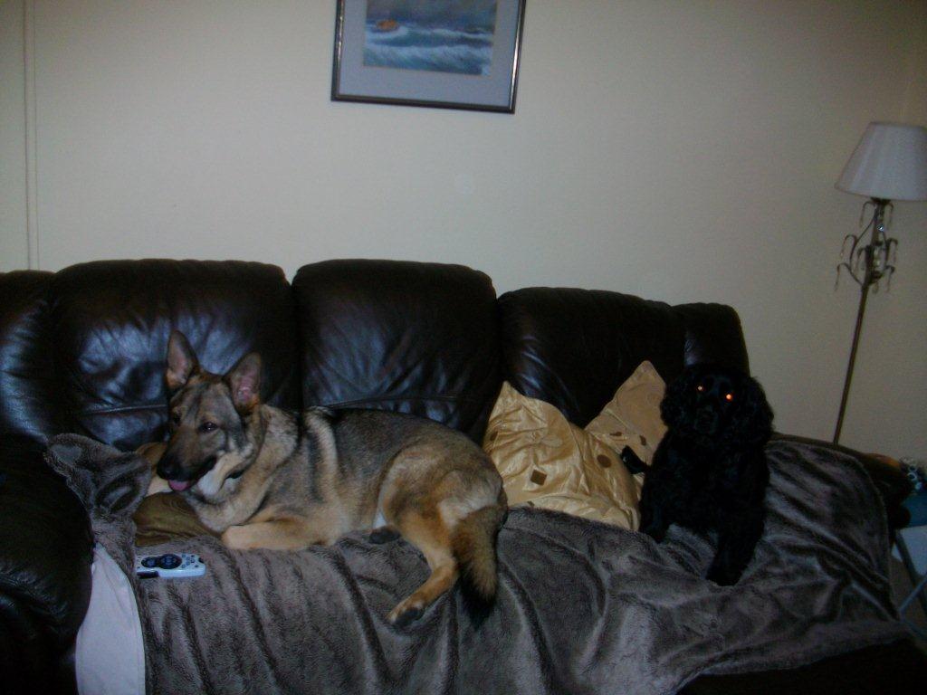 Relaxing On The Sofa