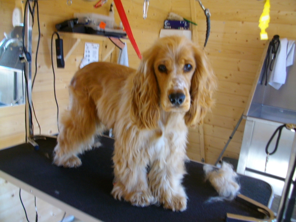 Gemma Before Hand Strip