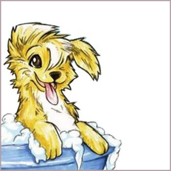 Bed, Bones and Brushes Logo